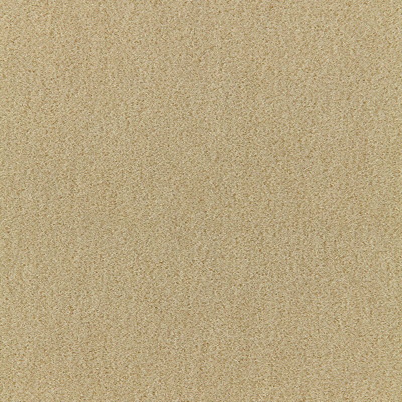 Schumacher San Carlo Mohair Velvet Putty Fabric - Eade's Wallpaper