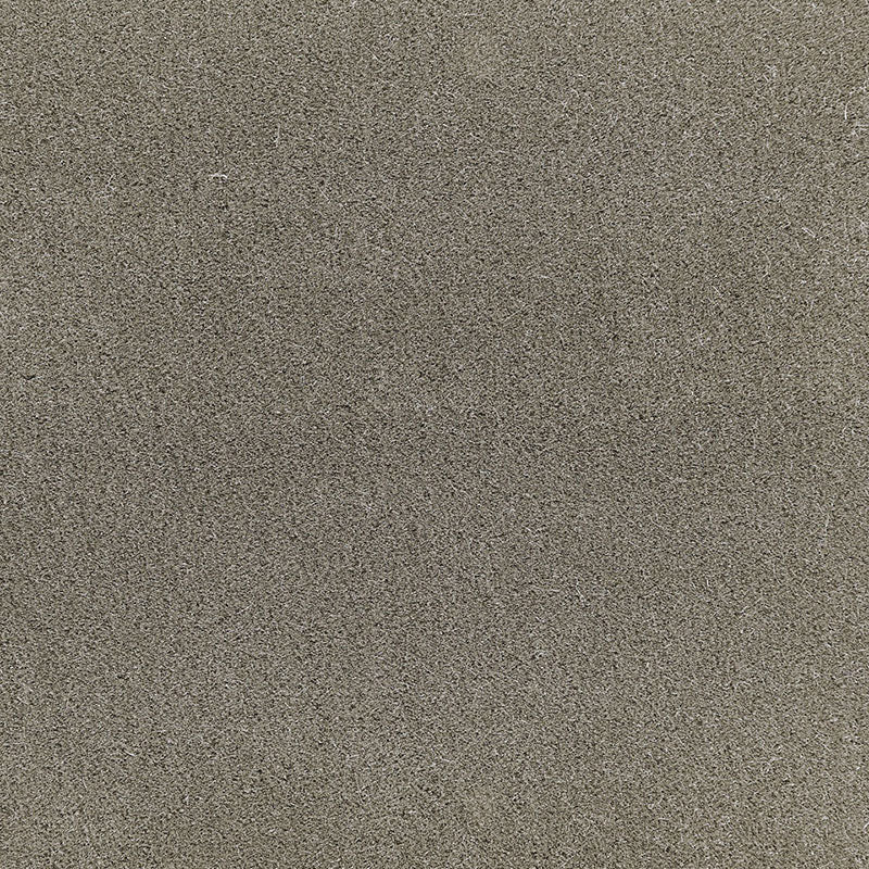 Schumacher San Carlo Mohair Velvet Moleskin Fabric - Eade's Wallpaper