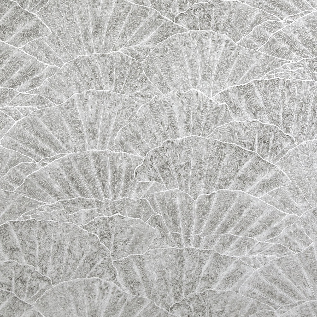 Galerie GH65002-23 Silver Grey Sshell - Eade's Wallpaper