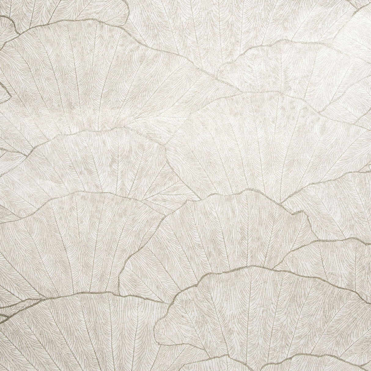 Galerie GH65004-23 Silver Grey Sshell - Eade's Wallpaper