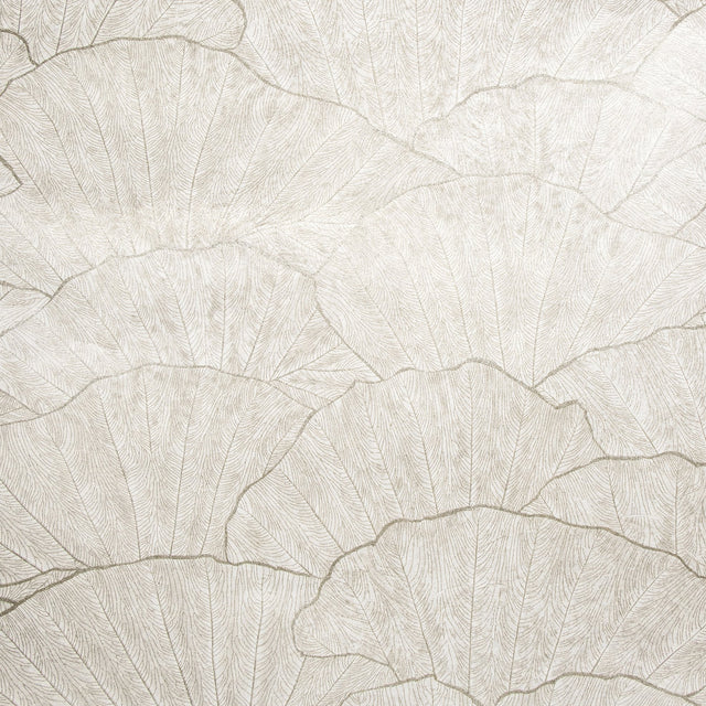 Galerie GH65004-23 Silver Grey Sshell - Eade's Wallpaper