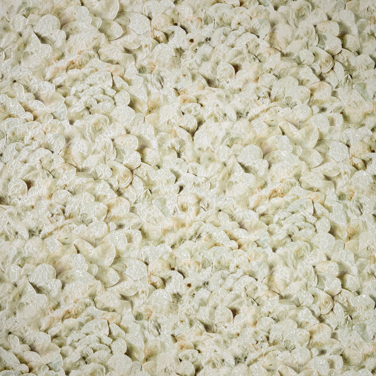 Galerie GH65304-23 Beige Wildflower - Eade's Wallpaper