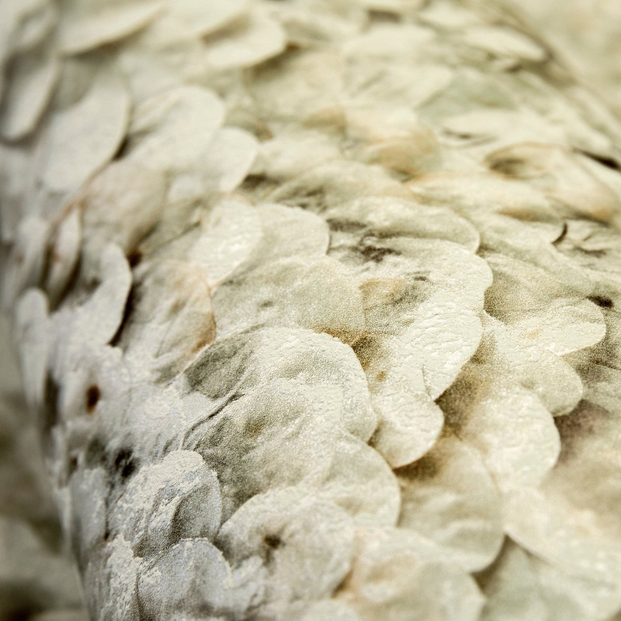 Eade's GH65305-23-sample Silver Grey