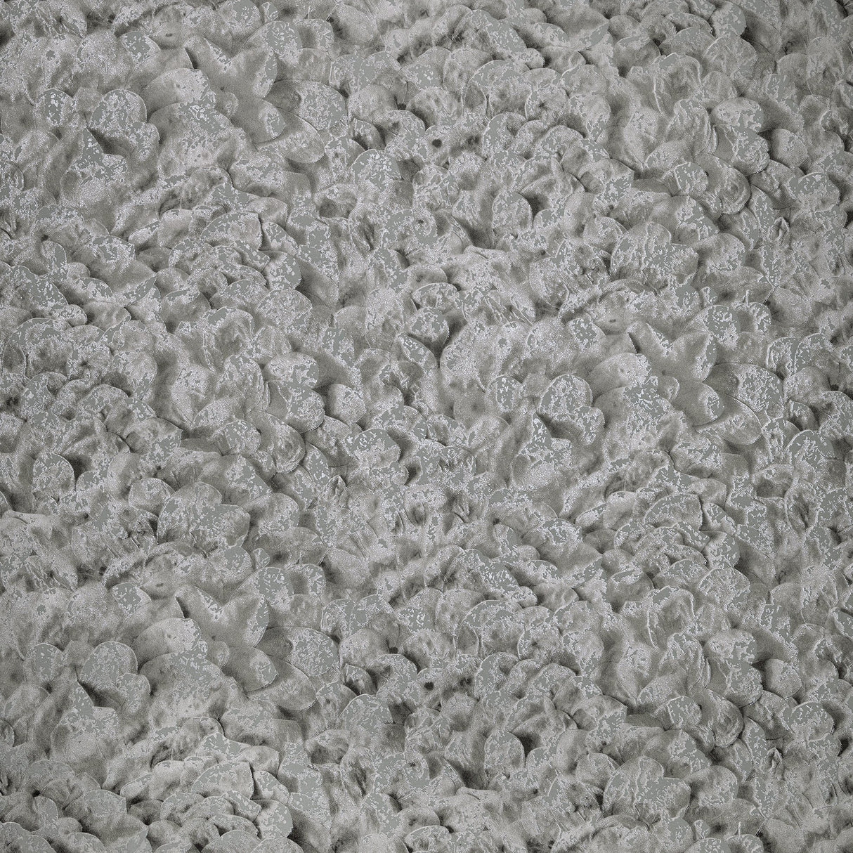 Galerie GH65309-23 Silver Grey Wildflower - Eade's Wallpaper