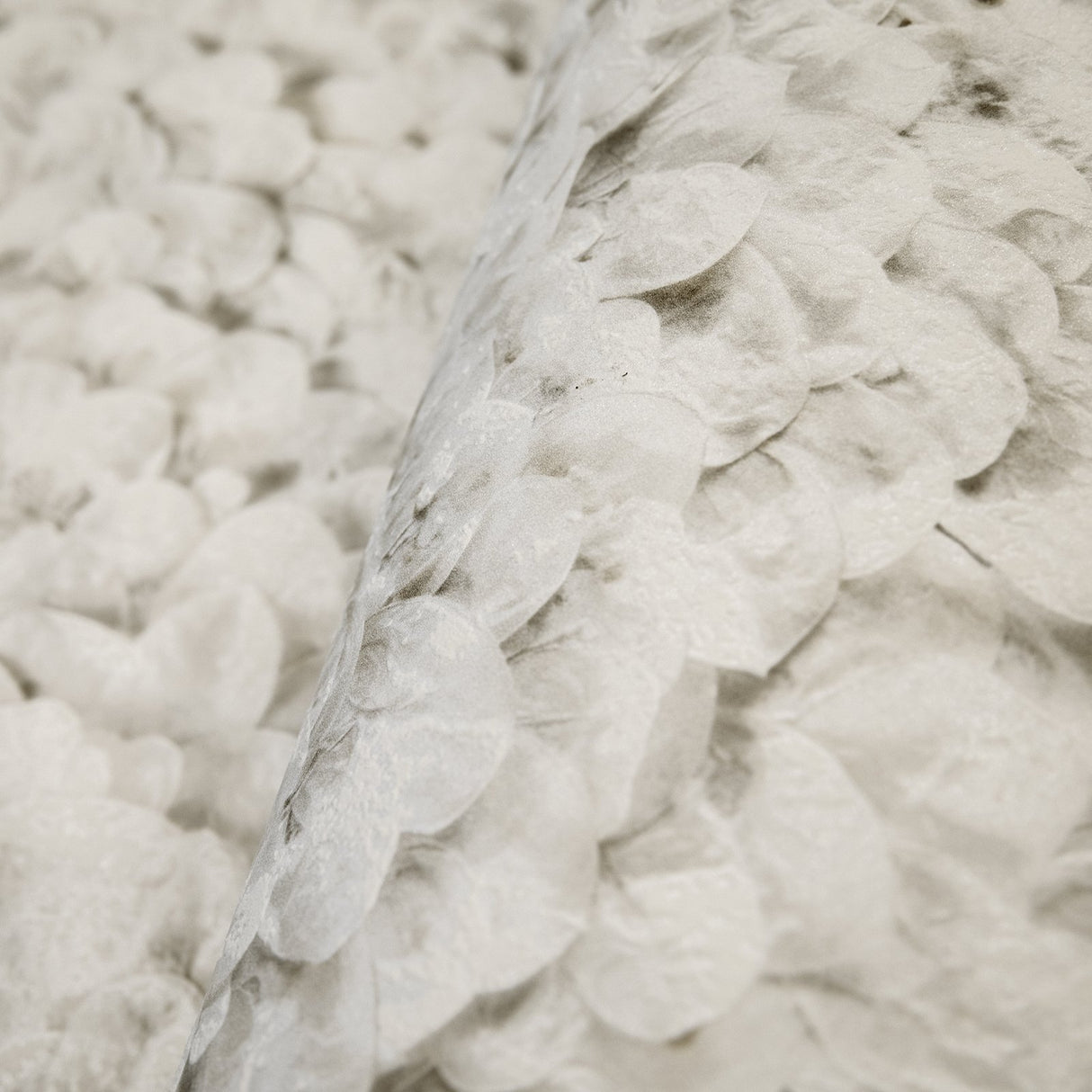 Eade's GH65311-23-sample Cream