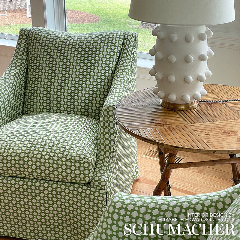 Schumacher 65688 BETWIXT in LEAF/BLANC Fabric - ESSENTIALS: