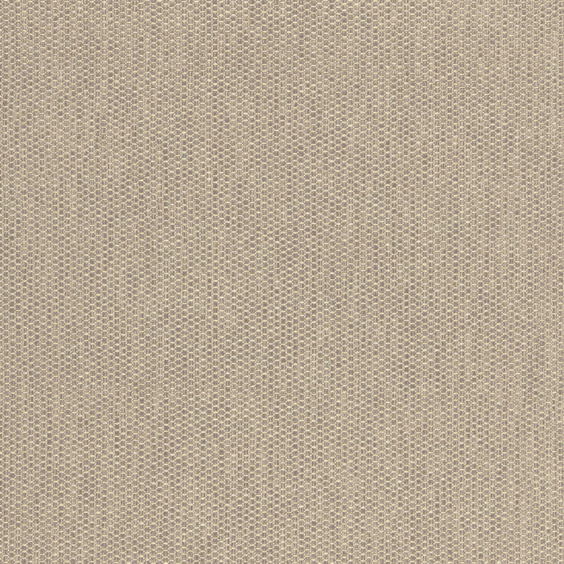 Eade’s CHANTERELLE