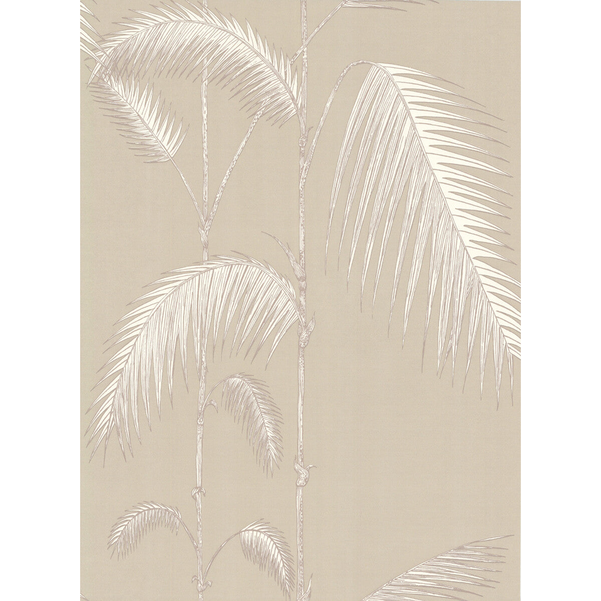 COLE & SON 66/2013.CS.0 PALM LEAVES TAUPE/W Wallpaper - Eade's Wallpaper