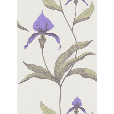 COLE & SON 66/4024.CS.0 ORCHID WHITE/M Wallpaper - Eade's Wallpaper