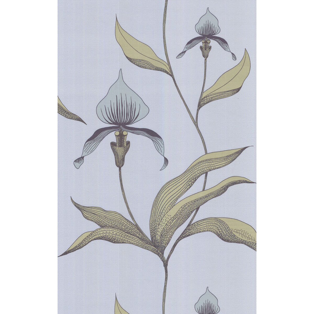 COLE & SON 66/4026.CS.0 ORCHID BLUE GR Wallpaper - Eade's Wallpaper