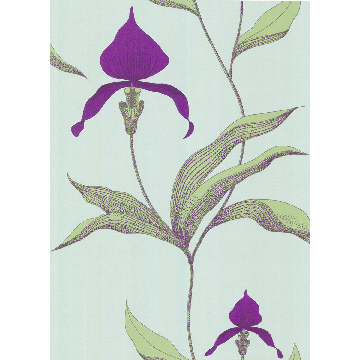 COLE & SON 66/4027.CS.0 ORCHID TURQUOI Wallpaper - Eade's Wallpaper