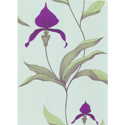 COLE & SON 66/4027.CS.0 ORCHID TURQUOI Wallpaper - Eade's Wallpaper