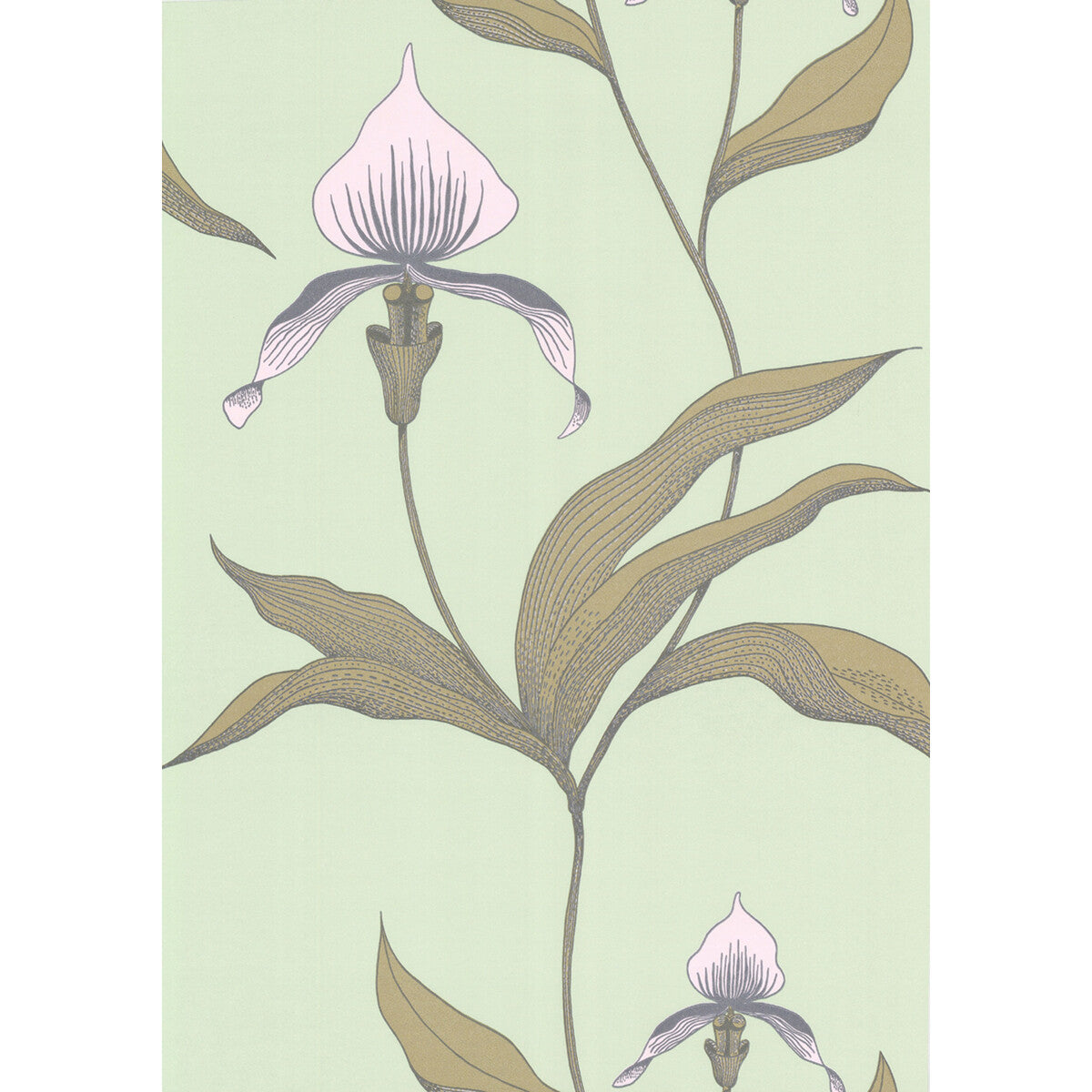 COLE & SON 66/4028.CS.0 ORCHID PALE GR Wallpaper - Eade's Wallpaper