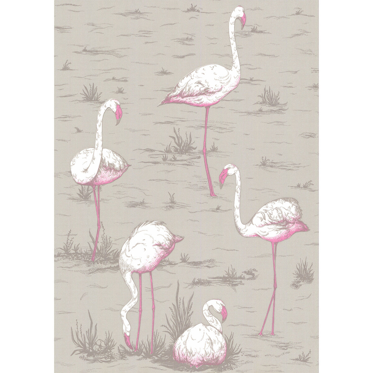 COLE & SON 66/6042.CS.0 FLAMINGOS GREY Wallpaper - Eade's Wallpaper