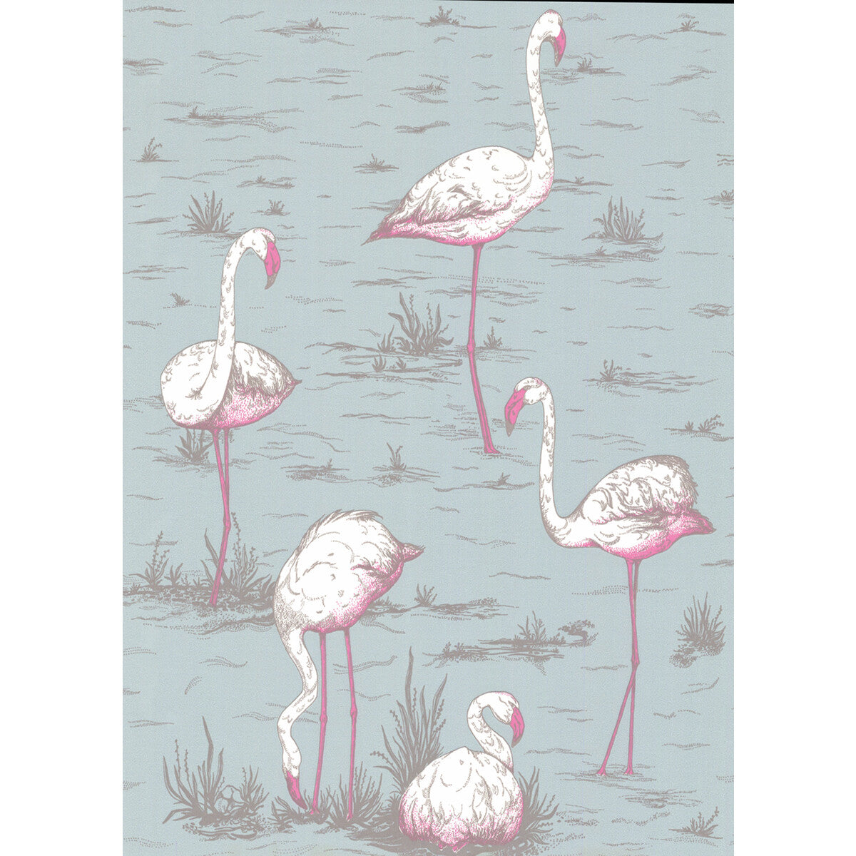 COLE & SON 66/6044.CS.0 FLAMINGOS OALE BL Wallpaper - Eade's Wallpaper