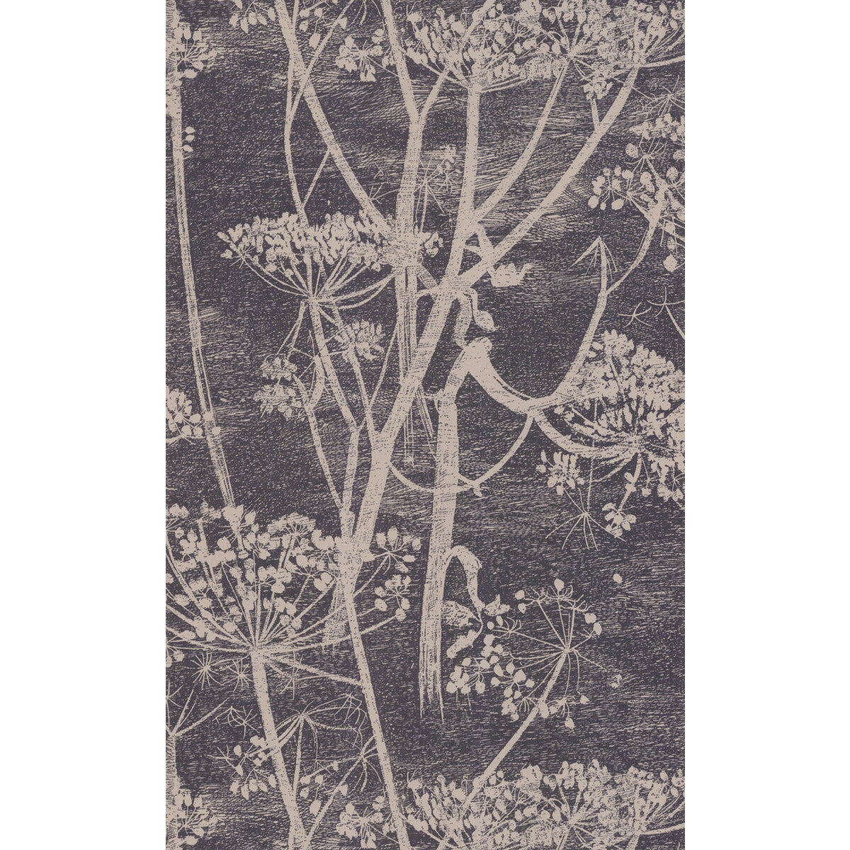 COLE & SON 66/7048.CS.0 COW PARSLEY TAUPE/B Wallpaper - Eade's Wallpaper