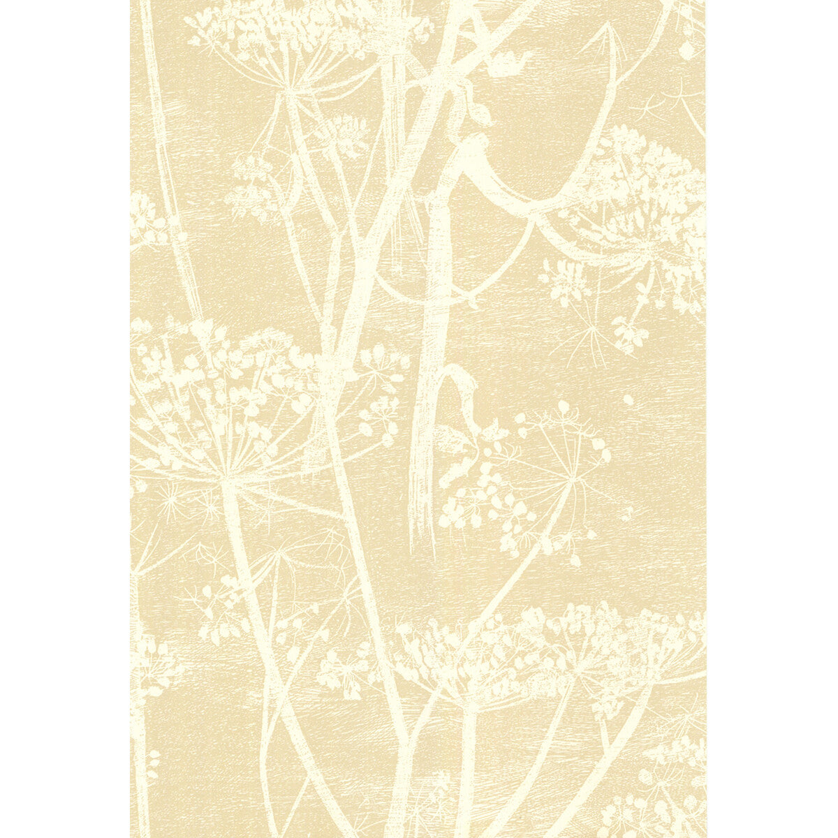 COLE & SON 66/7049.CS.0 COW PARSLEY WHITE/BGE Wallpaper - Eade's Wallpaper