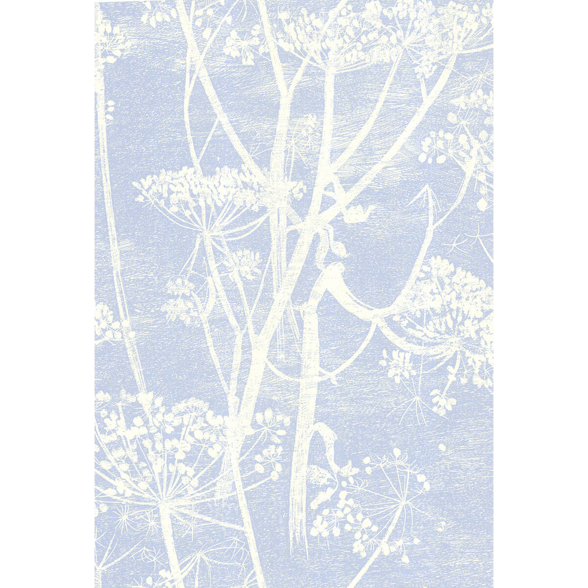 COLE & SON 66/7050.CS.0 COW PARSLEY WHITE/BLU Wallpaper - Eade's Wallpaper