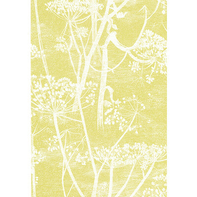 COLE & SON 66/7051.CS.0 COW PARSLEY WHITE/Y Wallpaper - Eade's Wallpaper