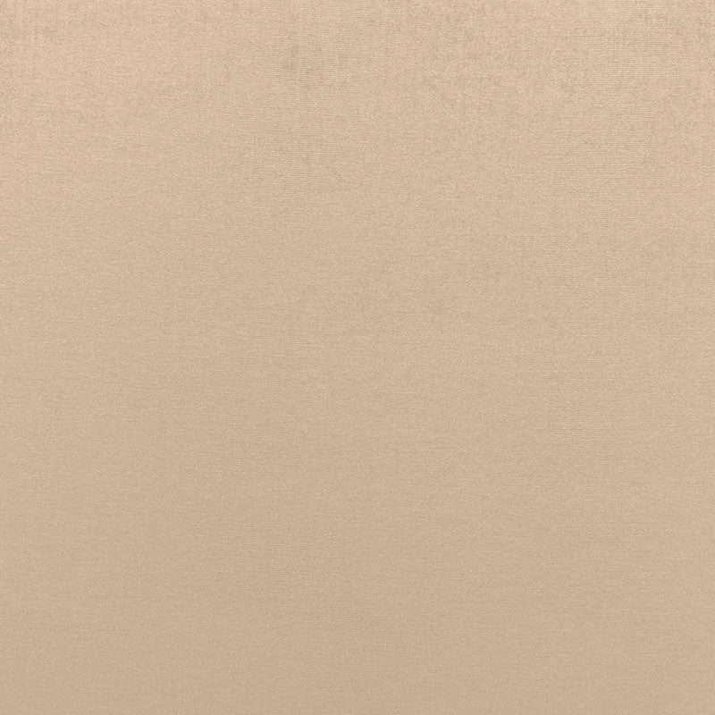 Eade’s CHANTERELLE