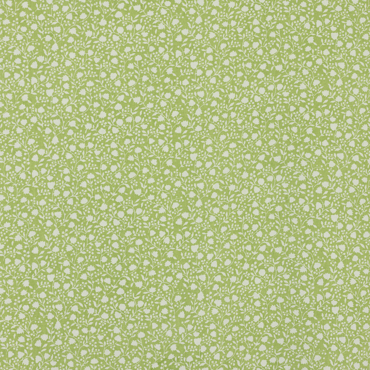 Schumacher 681V74 ELLIE in CELERY Fabric - RAOUL TEXTILES