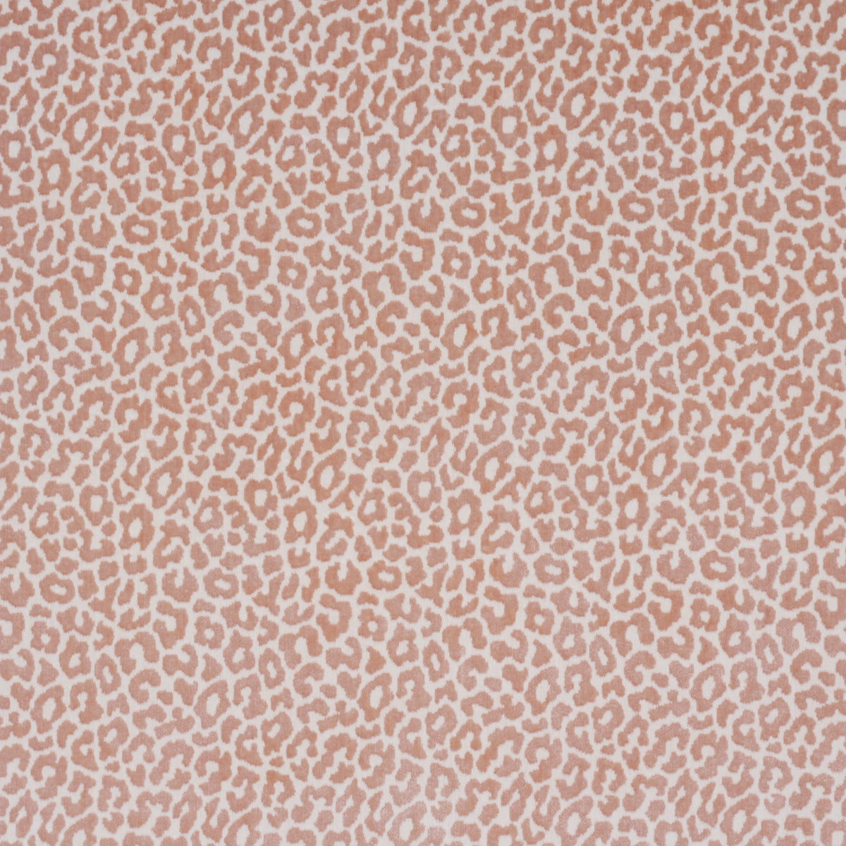 Schumacher 68828 MADELEINE VELVET in FRENCH KISS Fabric - TI
