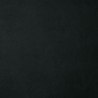 Pindler BANDWAGON COAL 6918 Fabric - Fabric Collection