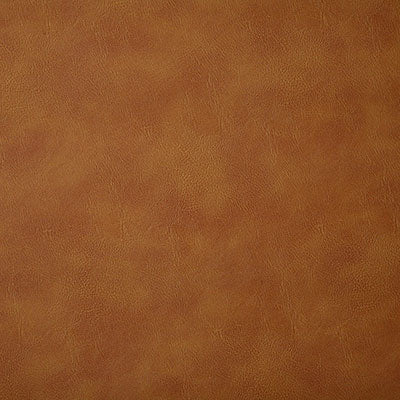 Pindler BANDWAGON SADDLE 6918 Fabric - Fabric Collection