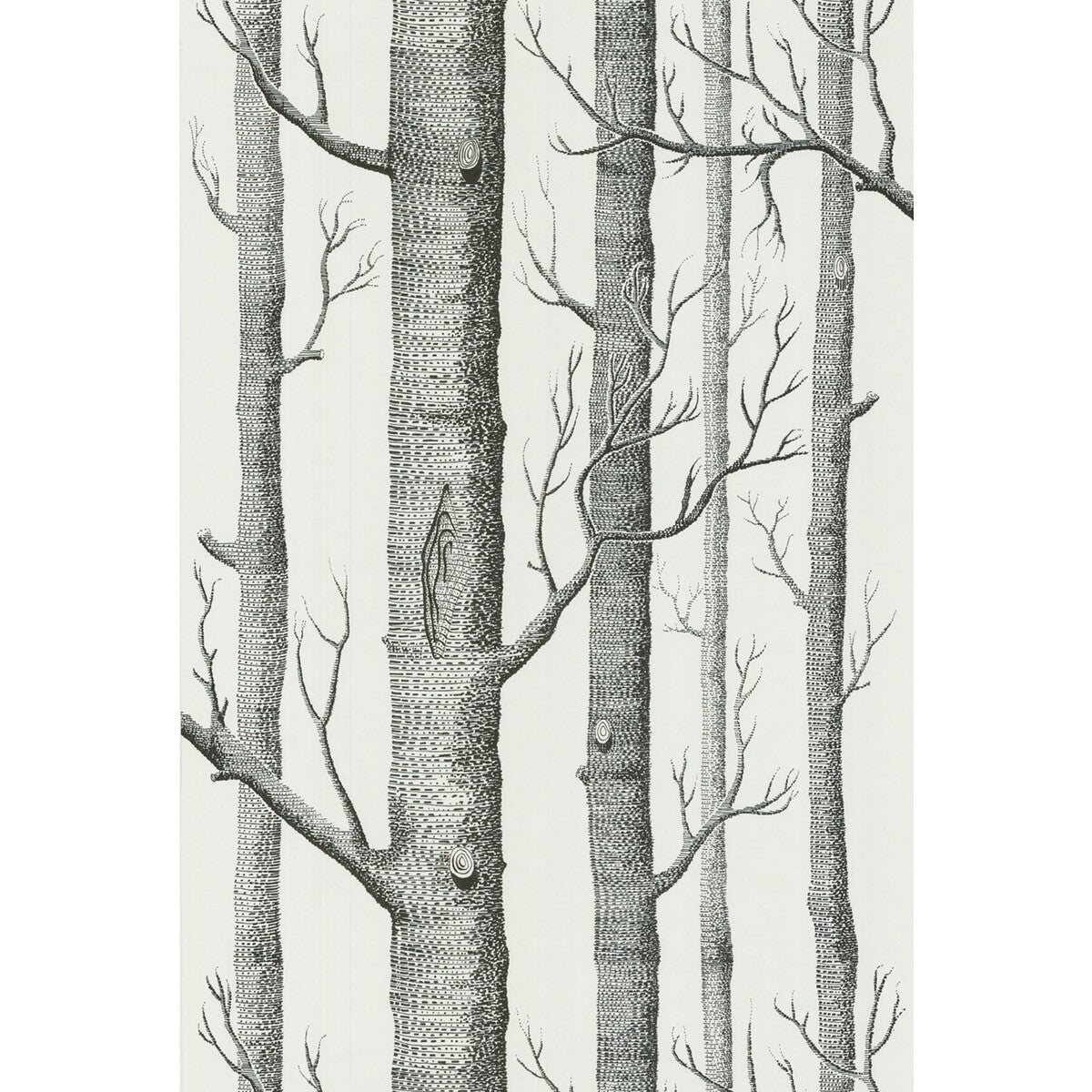COLE & SON 69/12147.CS.0 WOODS ONYX/WHITE Wallpaper - Eade's Wallpaper