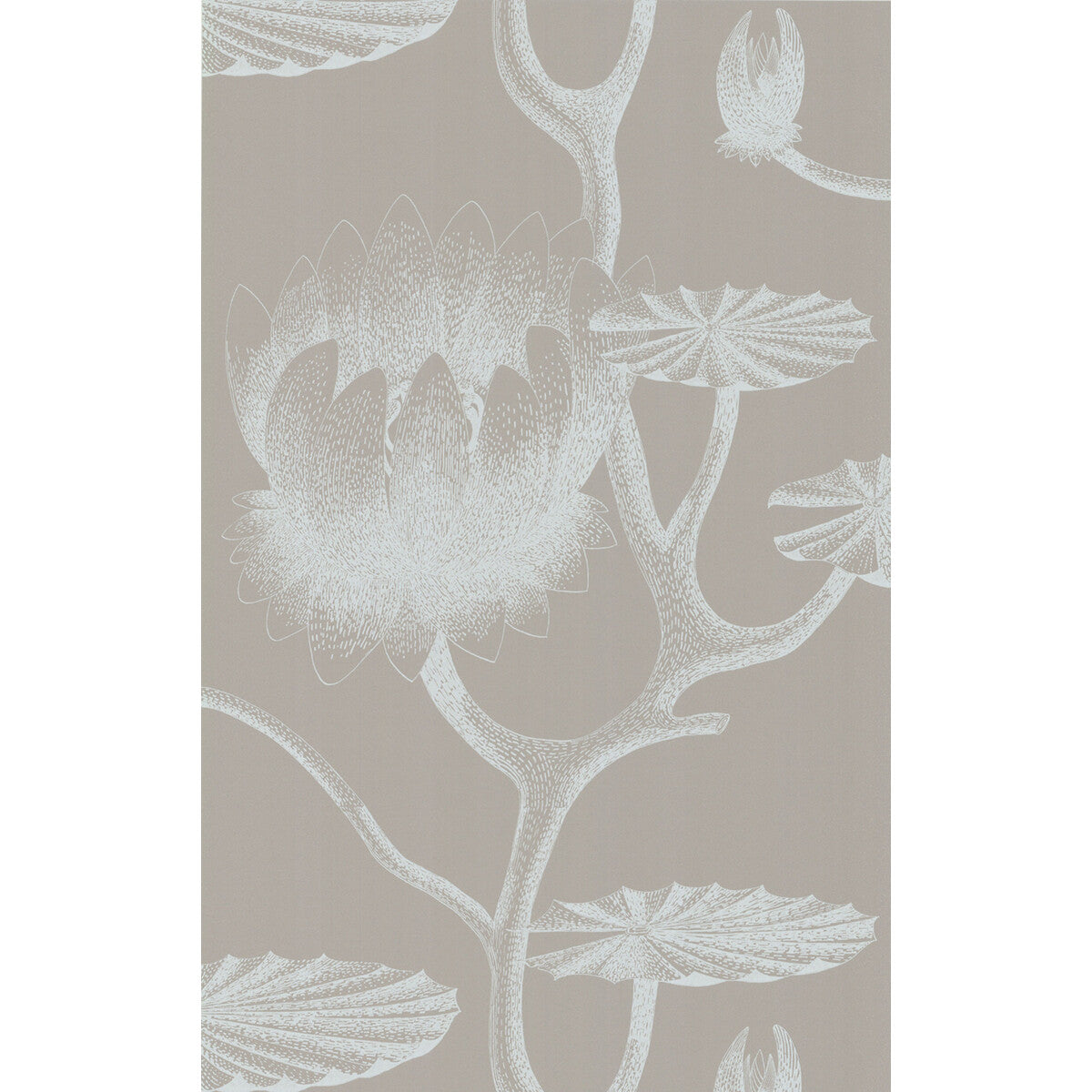 COLE & SON 69/3110.CS.0 LILY WHITE/GREY Wallpaper - Eade's Wallpaper