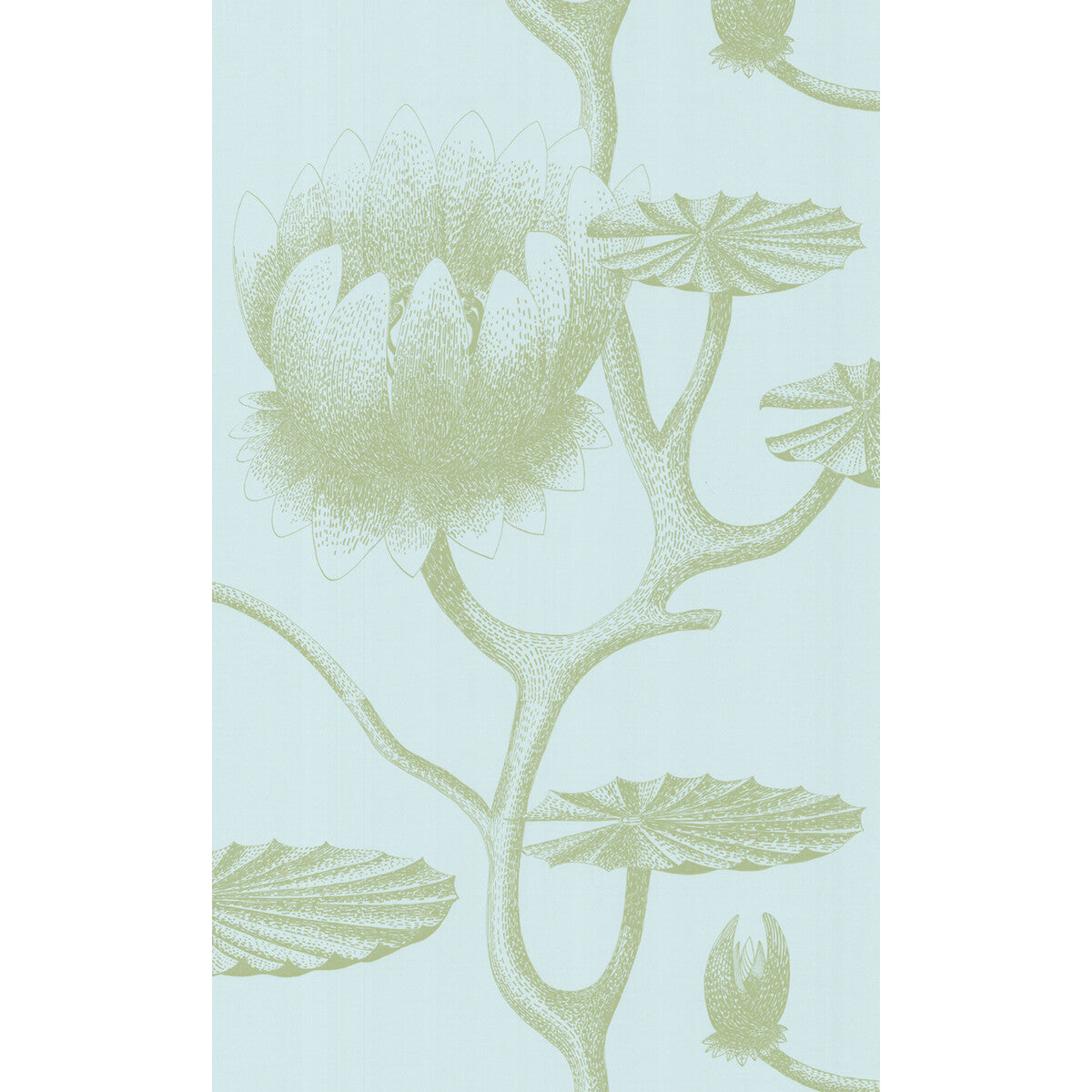 COLE & SON 69/3112.CS.0 LILY SAGE/PALE BLUE Wallpaper - Eade's Wallpaper