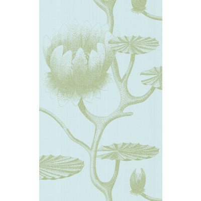 COLE & SON 69/3112.CS.0 LILY SAGE/PALE BLUE Wallpaper - Eade's Wallpaper