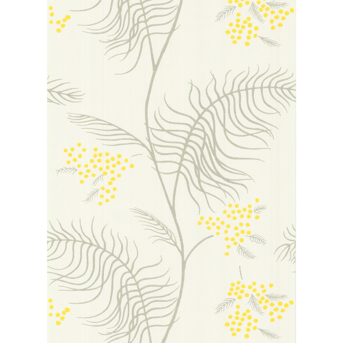 COLE & SON 69/8132.CS.0 MIMOSA WHITE Wallpaper - Eade's Wallpaper