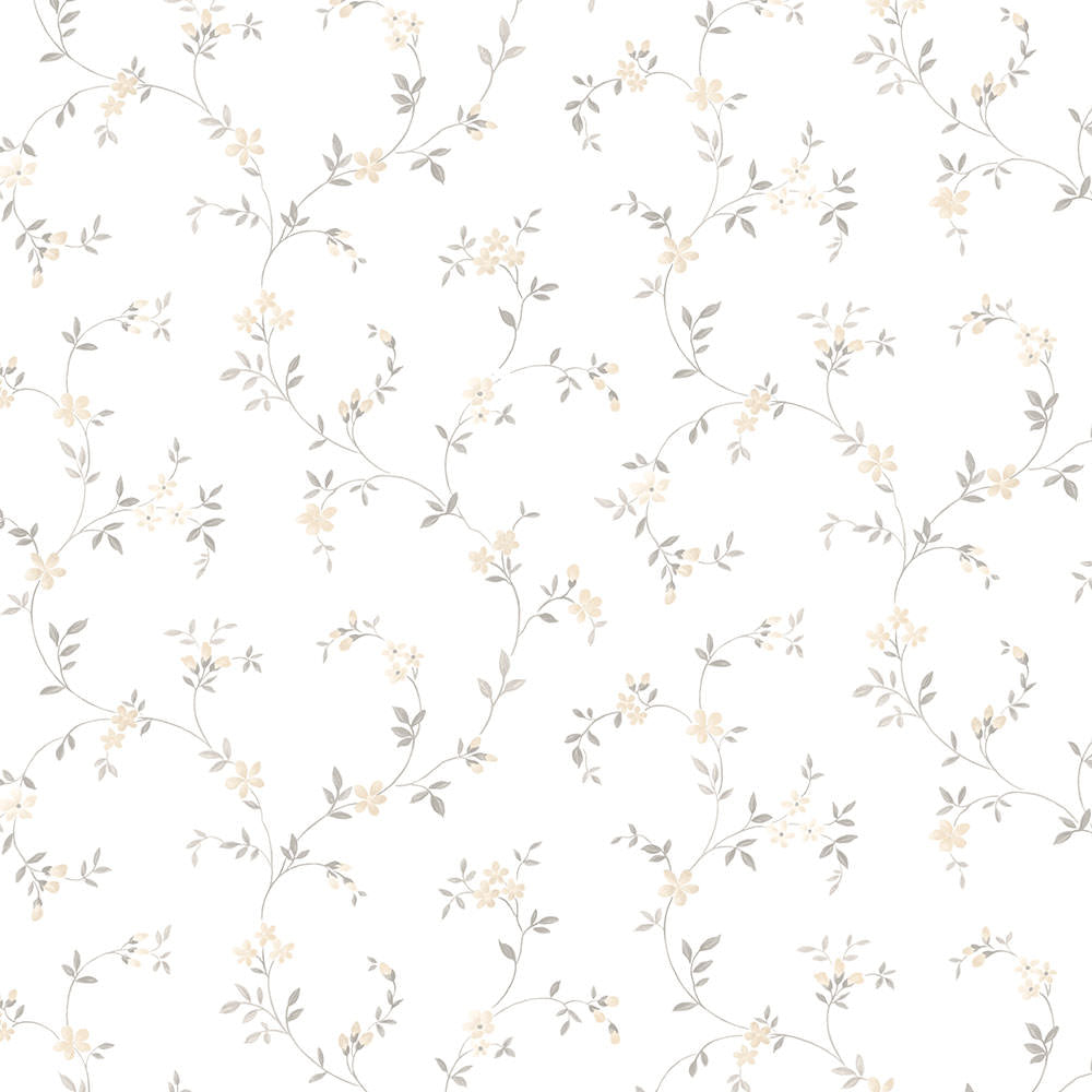 Patton / Norwall CK CK36604 Novelty