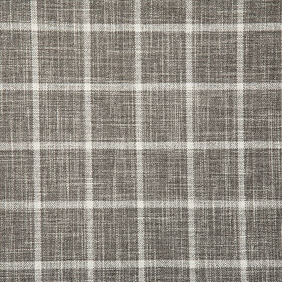Pindler DUMAS STORM 7098 Fabric - Fabric Collection