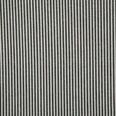 Pindler SAVANNAH DOMINO 7107 Fabric - Fabric Collection