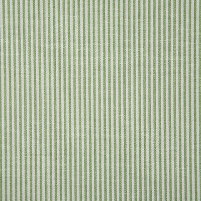 Pindler SAVANNAH KIWI 7107 Fabric - Fabric Collection