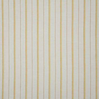 Pindler TEAGAN DAFFODIL 7108 Fabric - Fabric Collection