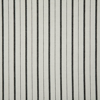 Pindler TEAGAN DOMINO 7108 Fabric - Fabric Collection