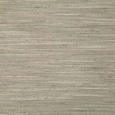 Pindler HIMALAYA PEWTER 7144 Fabric - Fabric Collection