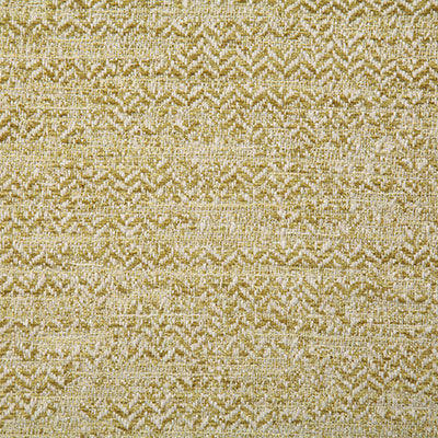 Pindler ROBERTS CITRUS 7152 Fabric - Fabric Collection