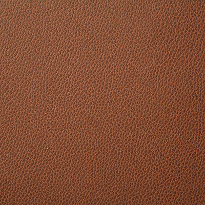 Pindler SANDERS AUTUMN 7225 Fabric - Fabric Collection