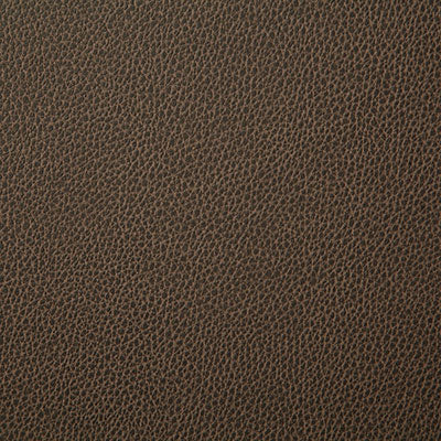 Pindler SANDERS LATTE 7225 Fabric - Fabric Collection