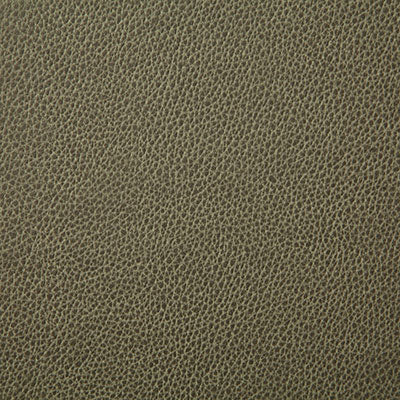 Pindler SANDERS LEAF 7225 Fabric - Fabric Collection