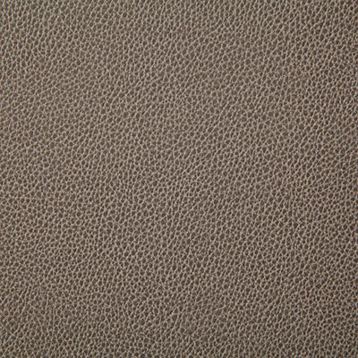 Pindler SANDERS MUSHROOM 7225 Fabric - Fabric Collection