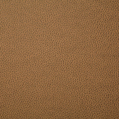 Pindler SANDERS SADDLE 7225 Fabric - Fabric Collection