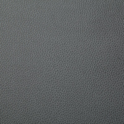 Pindler SANDERS SHALE 7225 Fabric - Fabric Collection