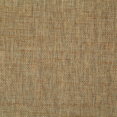 Pindler BECK COIN 7232 Fabric - Fabric Collection