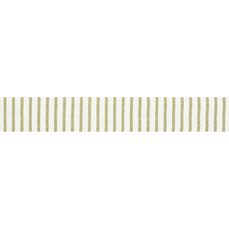 Schumacher 72584 SALTON TAPE in LEAF Trim - OPEN SKY