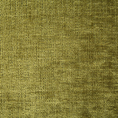 Pindler PARIS FERN 7333 Fabric - Fabric Collection